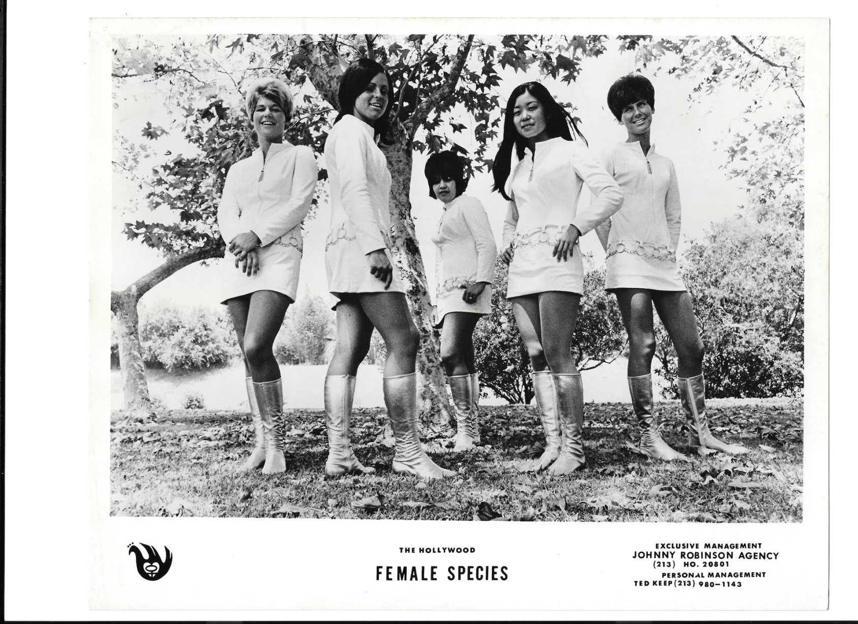 The Female Species Gets a Long-Overdue Day in the Sun